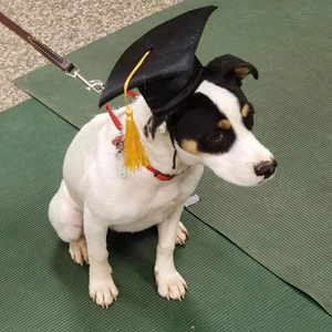 Catawba Valley Obedience Club, Hickory NC